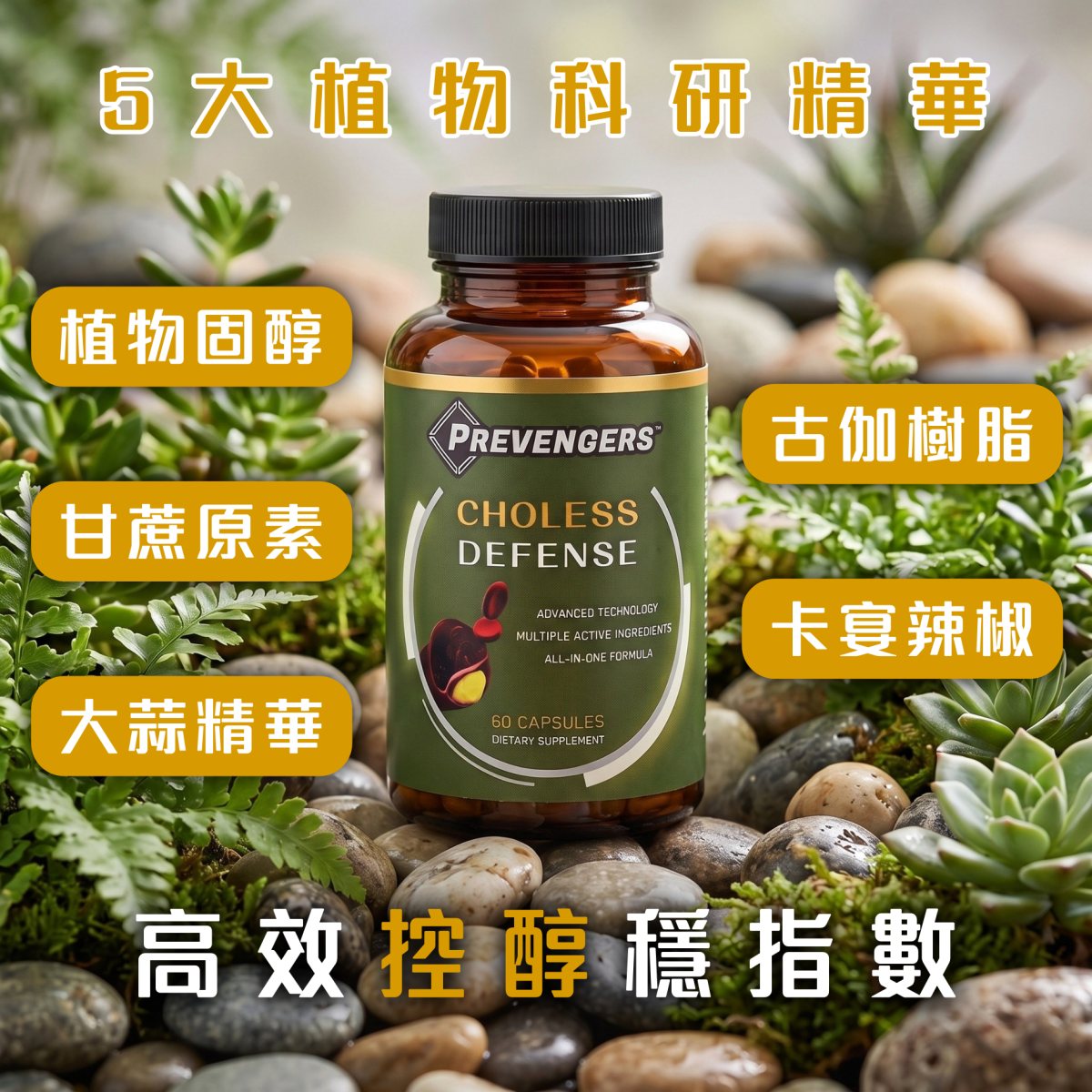 | 防預者：控醇血淨素 | 專為關注血脂/膽固醇人士而設 | 或有助穩定血脂/膽固醇 | 適合素食人士